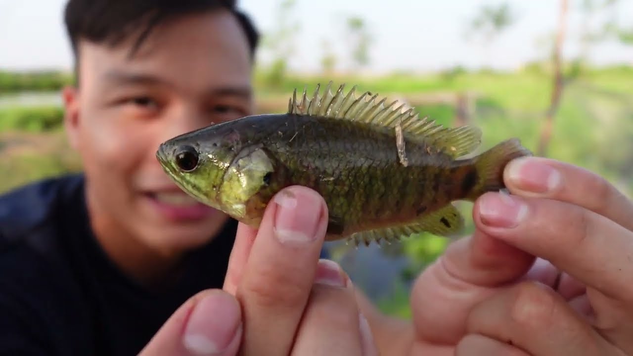 LẠ VLOG - CẦN CÂU RẺ NHẤT THẾ GIỚI - SUPER MINI FISHING ROD