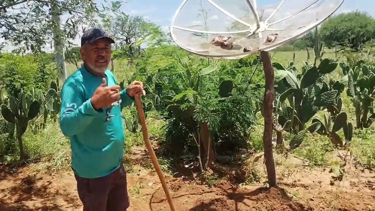 E TODOS OS HOMENS DEVERIA FAZER ISSO E DEIXAR SUA CASA BEM ACONCHEGANTE