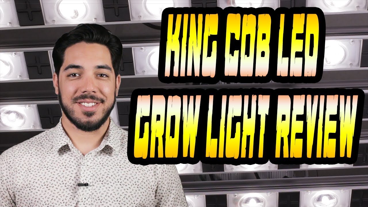 The King COB (Chip On Board) LED Grow Light Review