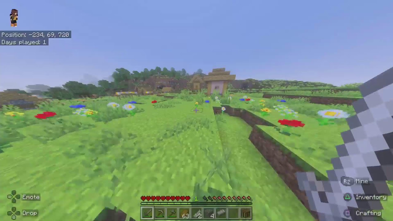 MINECRAFT Hardcore