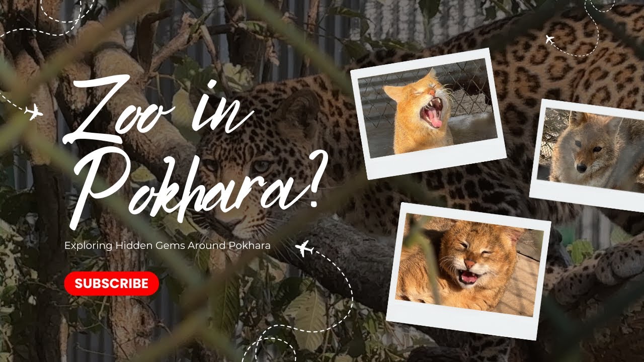 Zoo in Pokhara. Location video+motovlog.