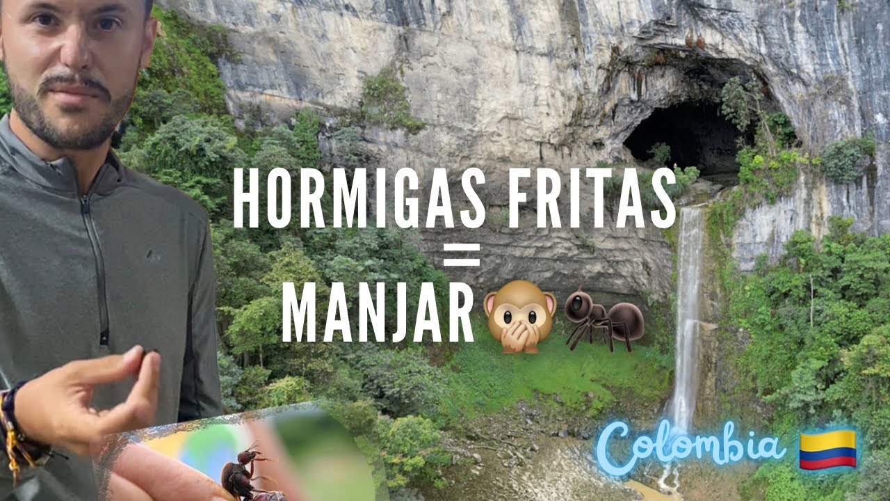 COMEMOS HORMIGAS fritas - TISQUIZOQUE Medellín COMUNA 13 Guatapé - Colombia 🇨🇴