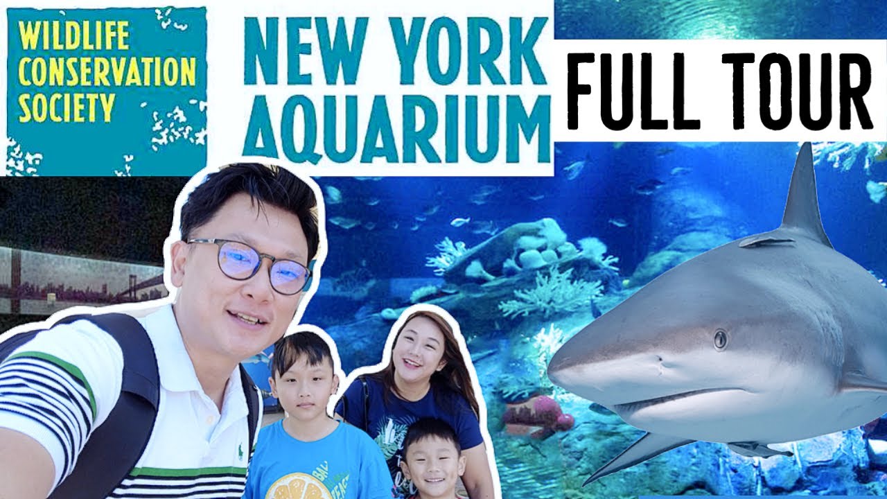 New York Aquarium (NEW) FULL TOUR