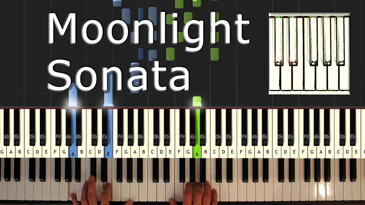 Beethoven - Moonlight Sonata - Piano Tutorial Easy - How To Play (synthesia)
