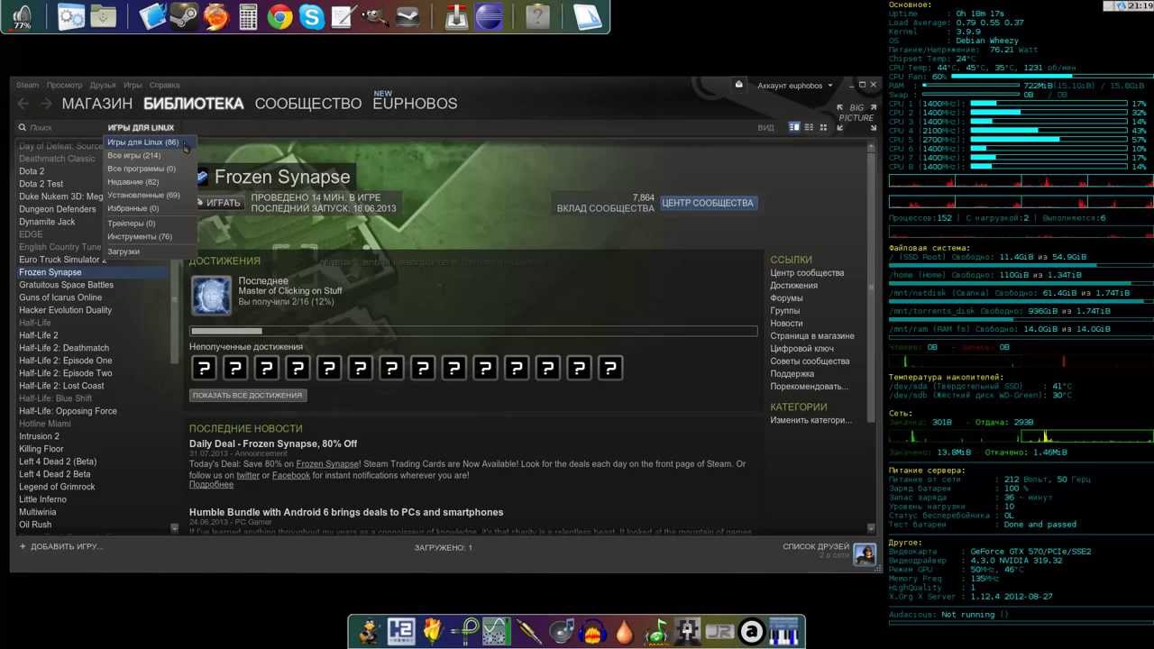 Steam on Linux - Hint