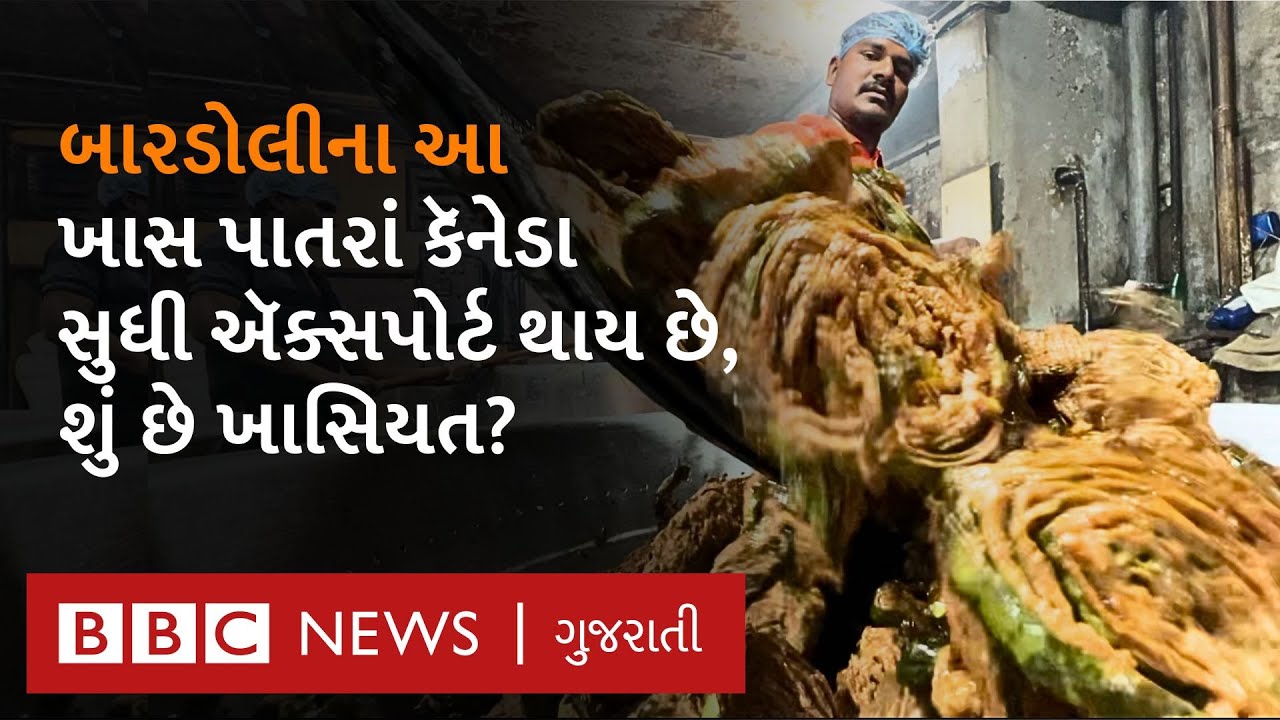 Famous Bardoli Patra : દેશ-વિદેશમાં પ્રખ્યાત બારડોલીના કરકરા પાતરા કઈ રીતે બને છે?