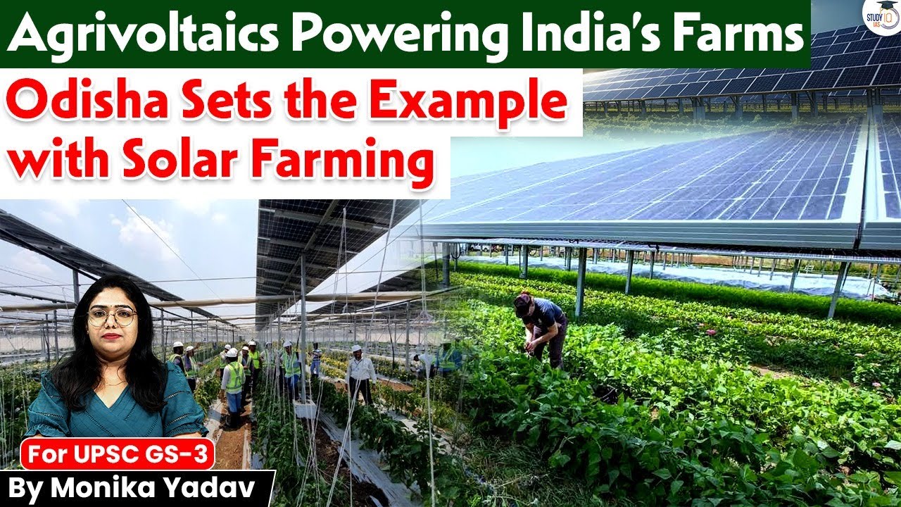 Agrivoltaics Revolution! Odisha’s Solar Farming Model is Powering India’s Agriculture Future