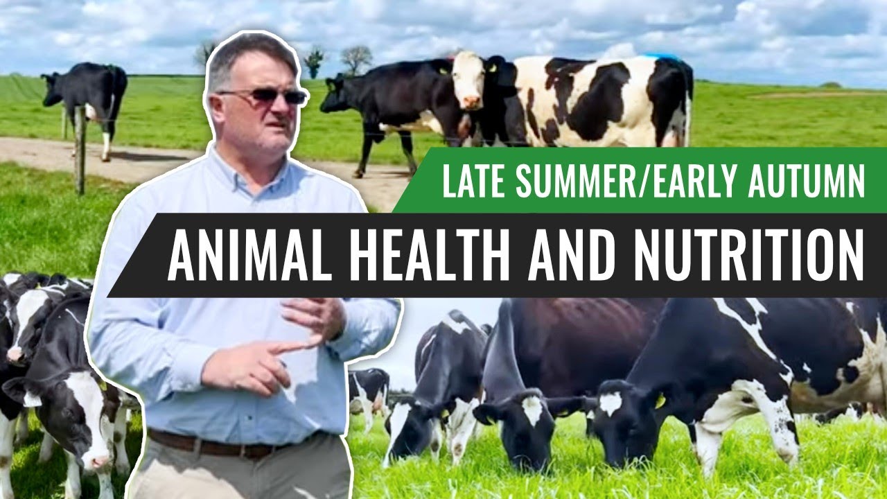 Animal Health and Nutrition in Late Summer/Early Autumn