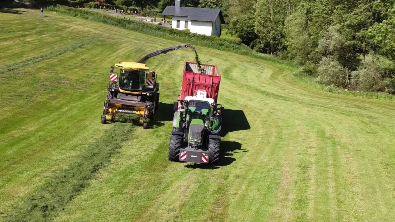 2. Schnitt beim Lu Scheufgen I Nordhessen Agrarvideos