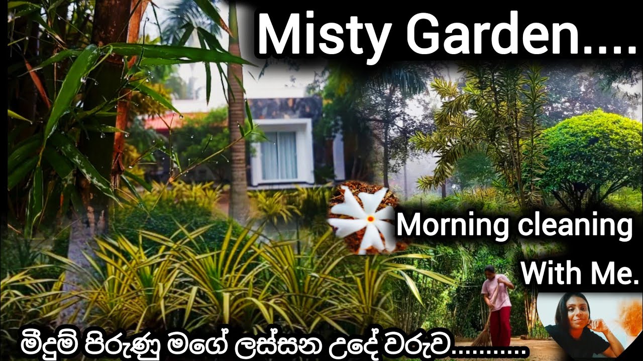 ගෙදර වැඩ ටික උදේම ඉක්මනින් කරන අතරේ අපේ Garden එකේ පොඩි රවුමක් දාමුද?My morning cleaning Routine ❤❤