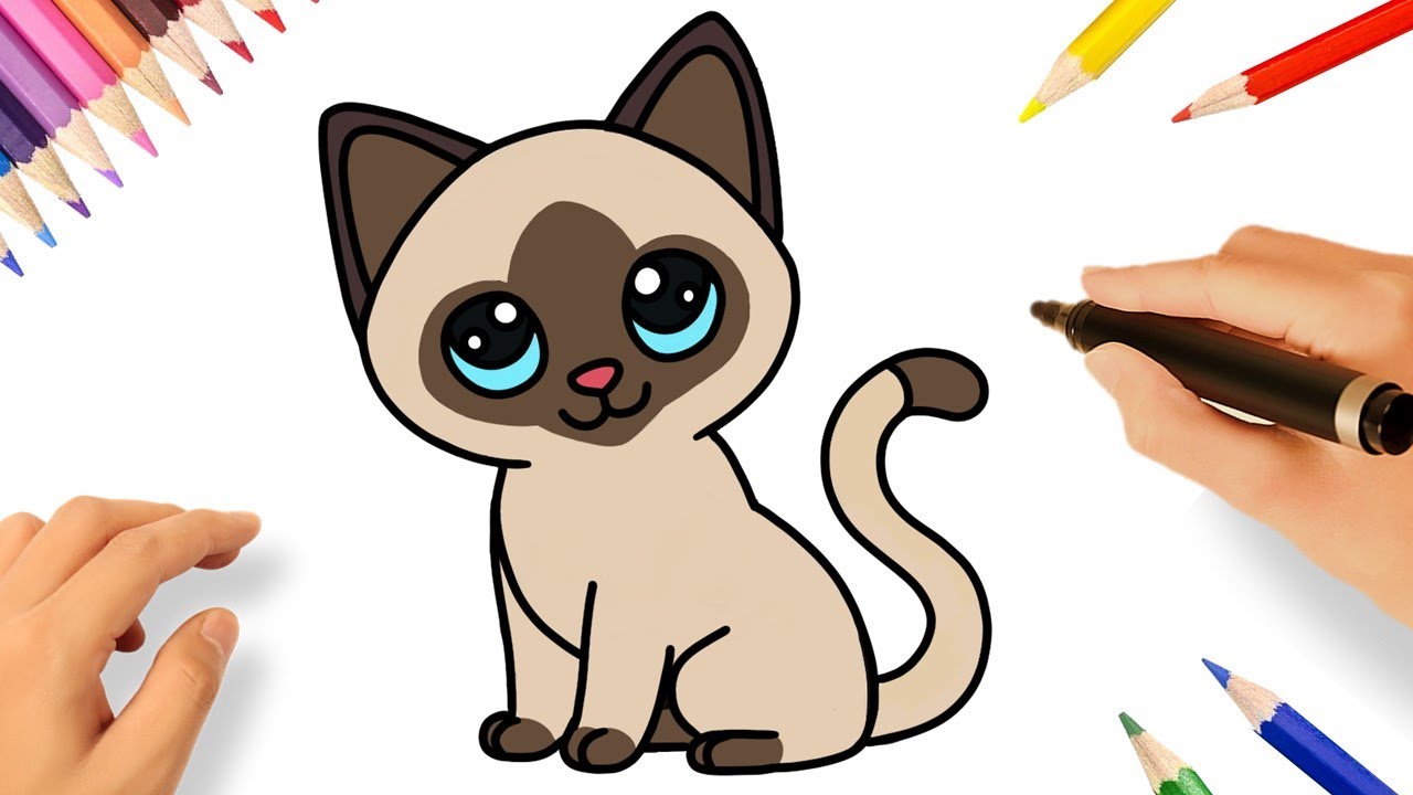 HOW TO DRAW A SIAMESE CAT EASY