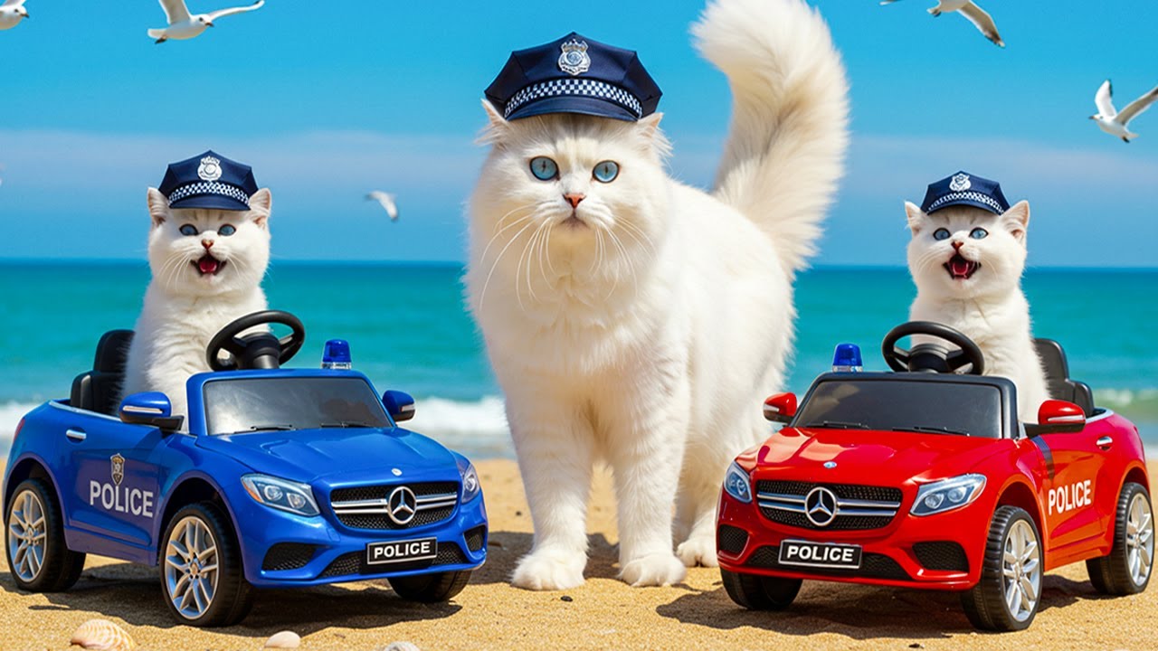 Mama Cat Rescues Kittens from Ferocious Dog Attack 🐶 Buys New Toy Police Car 🚓🎒🐱 Heartwarming Story