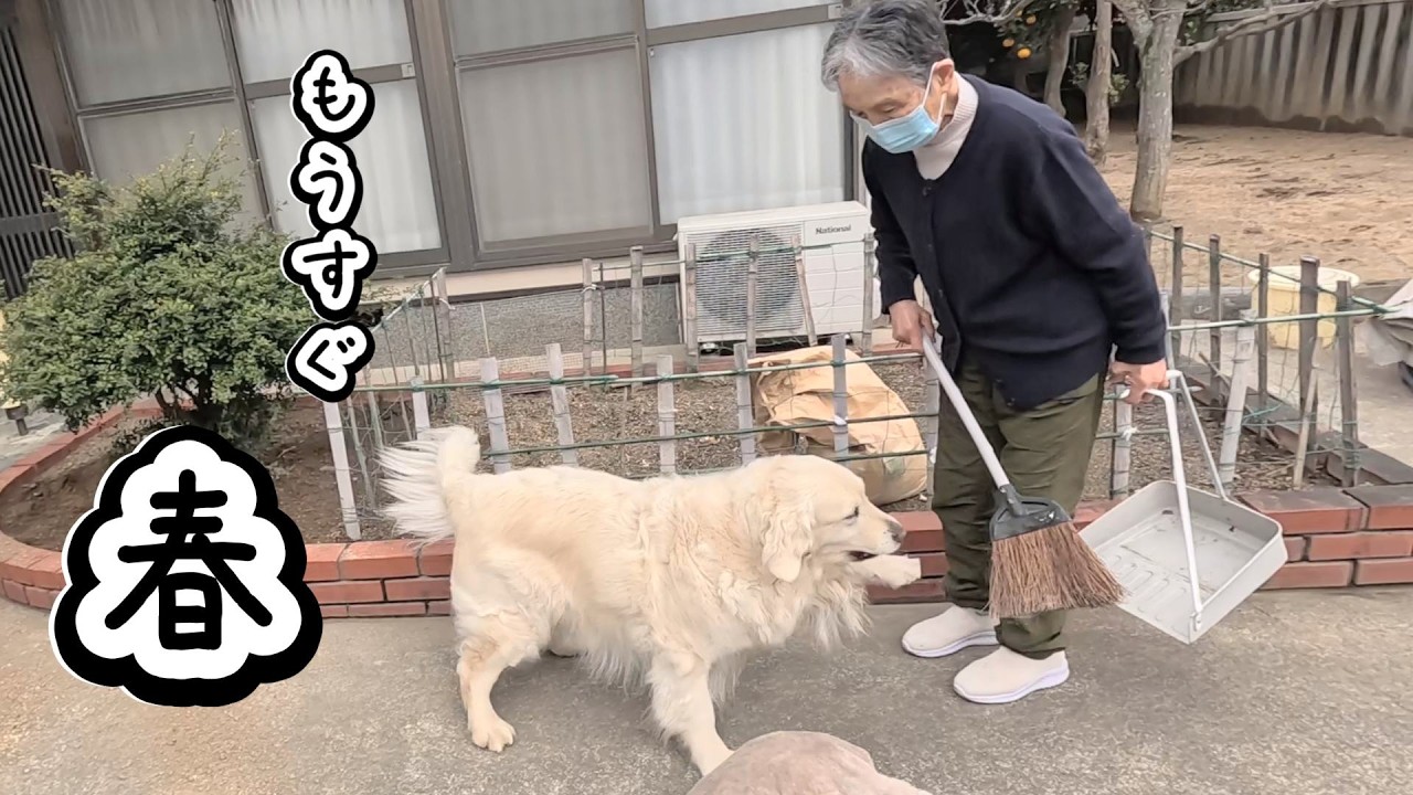 春が近くなったような気がします・・・。　#メイちゃんねる