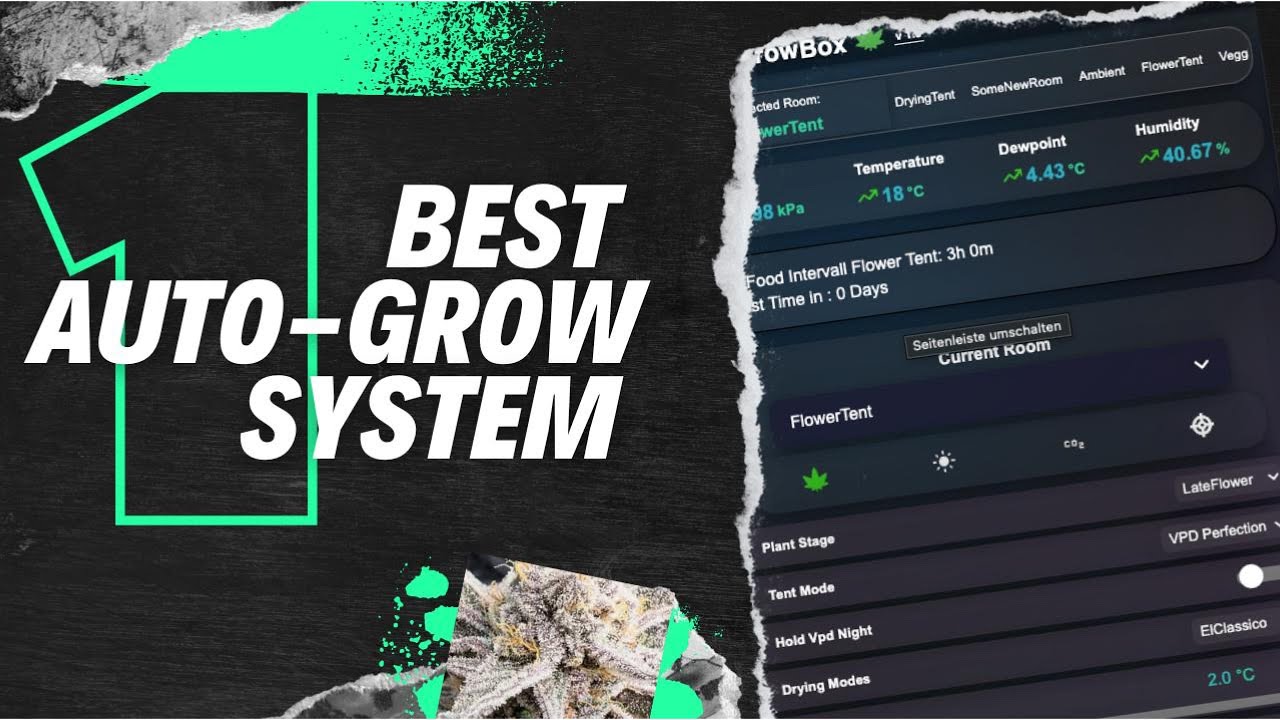 Best Smart Growing System