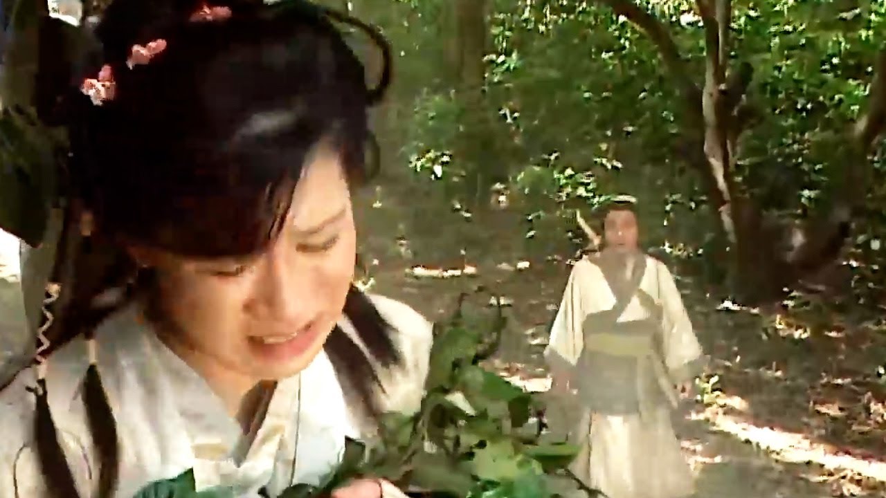 各派武林高手硬闖五毒林死傷慘重，不料功夫小子一招破解五毒陣  #碧血劍1999# 林家棟、江華、吳美珩 #武俠 #kungfu #功夫