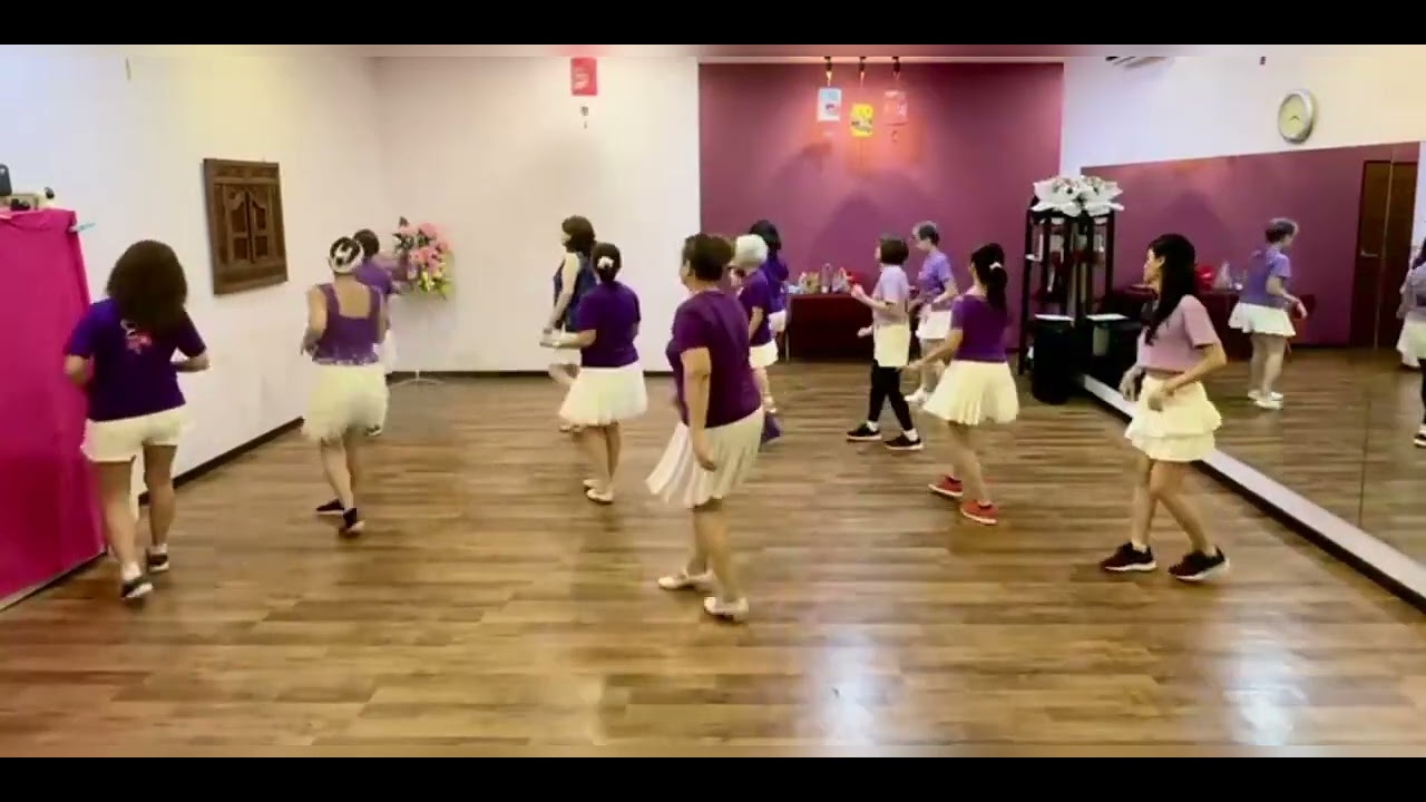 We're Going To The Party Line Dance