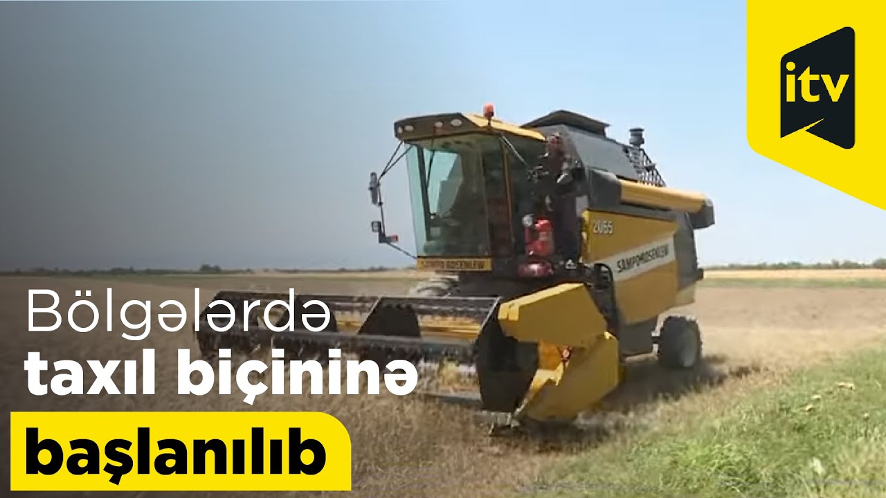 Bölgələrdə taxıl biçininə başlanılıb