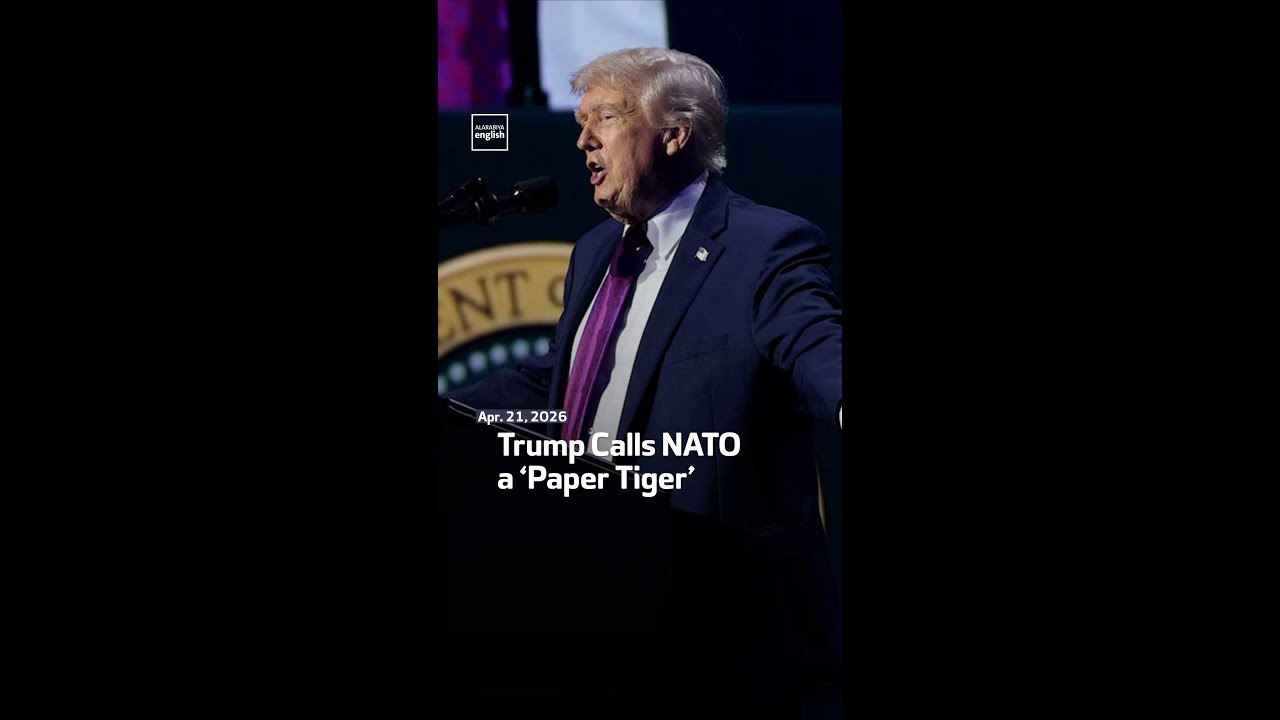 Трамп назвал НАТО &laquo;бумажным тигром&raquo;.