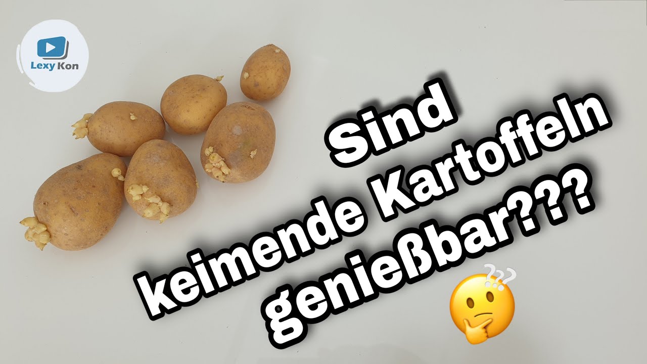 Kartoffeln keimen - gr&uuml;ne Stellen & Triebe | giftig JA oder NEIN?!?