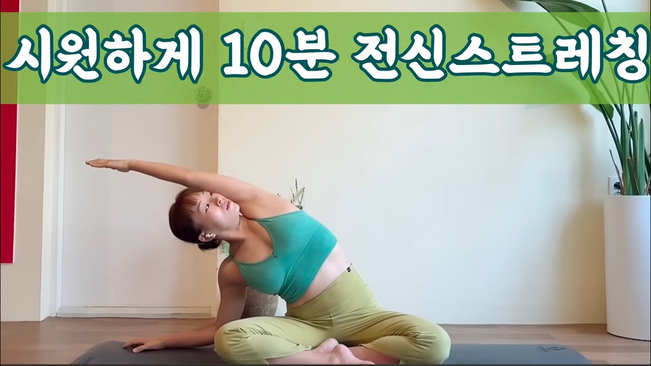 [서리요가#554] 초보자도 쉽게 할 수 있는 11분 요가 /전신스트레칭