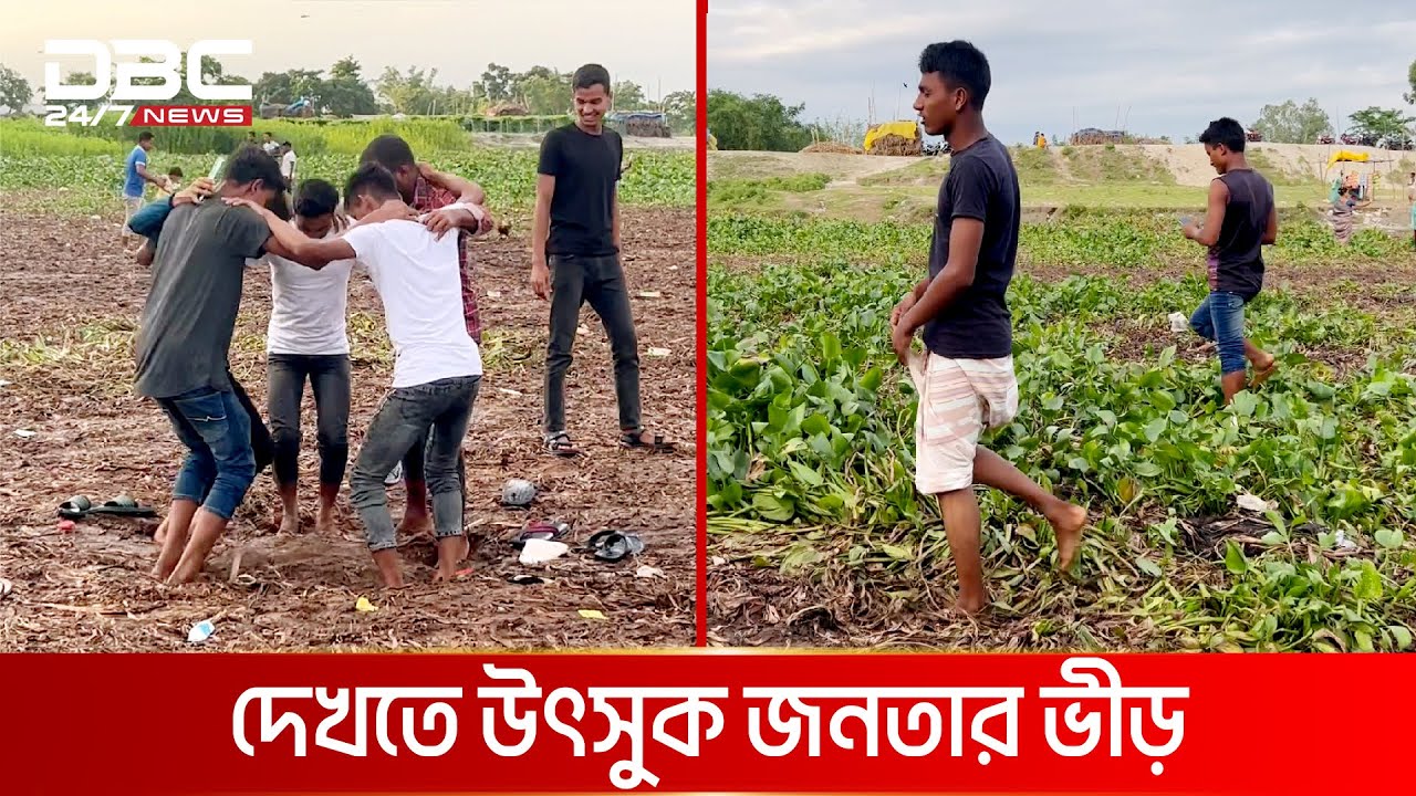 নীলফামারীর নদীতে কচুরিপানা ব্রিজ | DBC NEWS Special