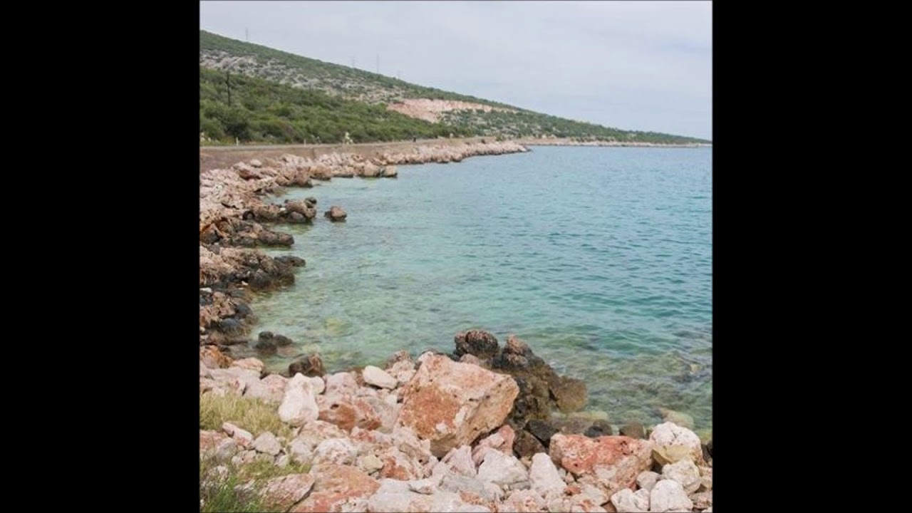 Camomile Dawn - Sahil Yolu