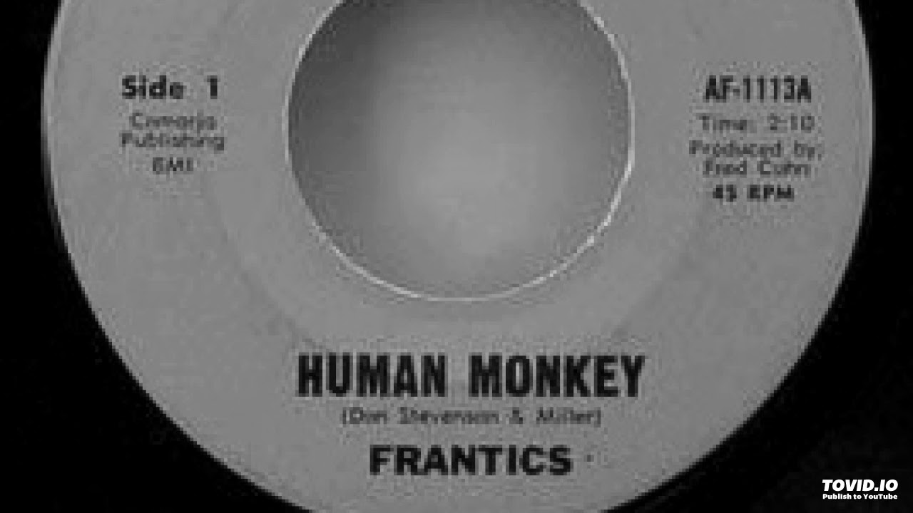 Frantics - Human Monkey