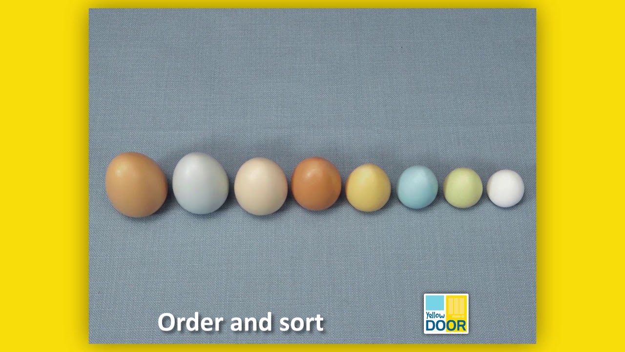 Size Sorting Eggs