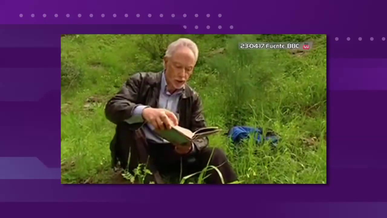 La historia de J. M. Coetzee: escritor, novelista sudafricano y Premio Nobel de Literatura
