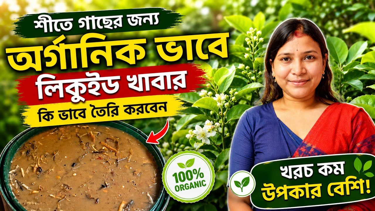 শীতে গাছের জন্য অর্গানিক ভাবে  লিকুইড খাবার কি ভাবে প্রস্তুত করবেন। অর্গানিক লিকুইড সার তৈরি পদ্ধতি 