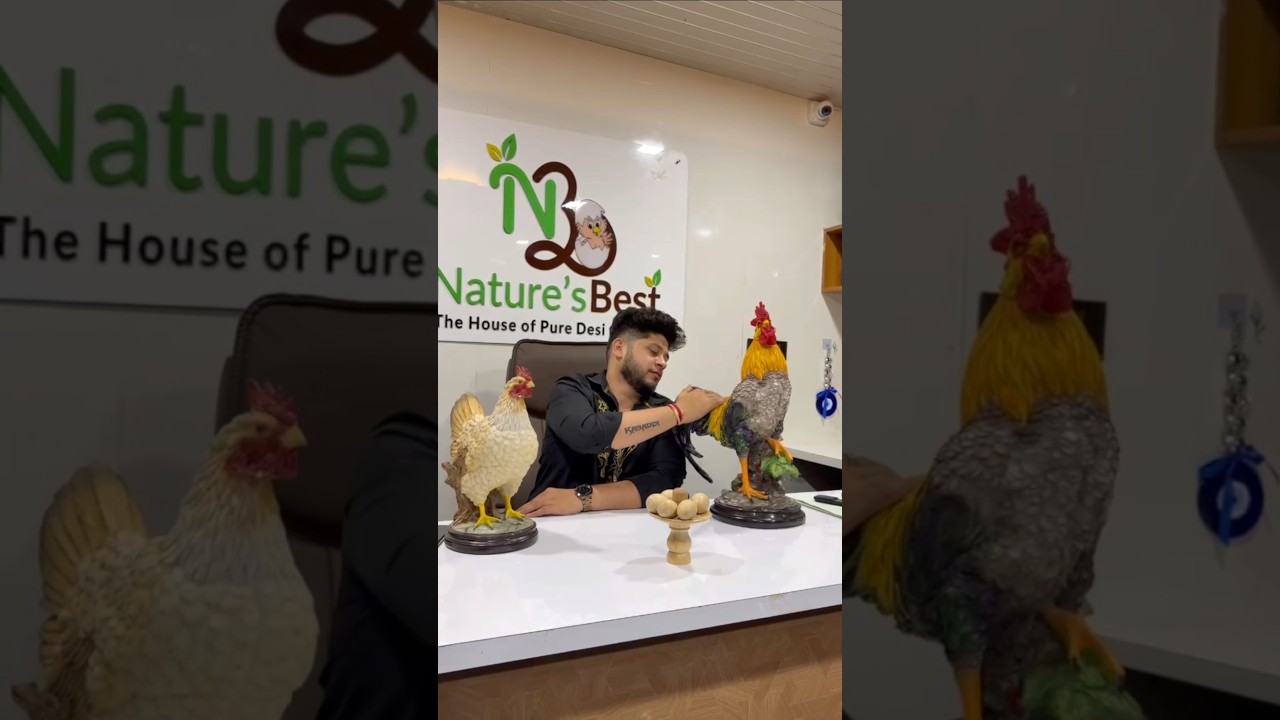 Saurabh Tapkir /Nature's Best 🐓#business #desi #motivation #viral #farming #new #chicken