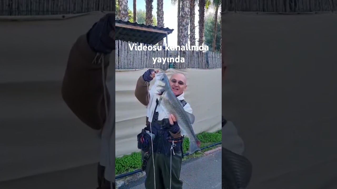 Lütfen abone olalaım 