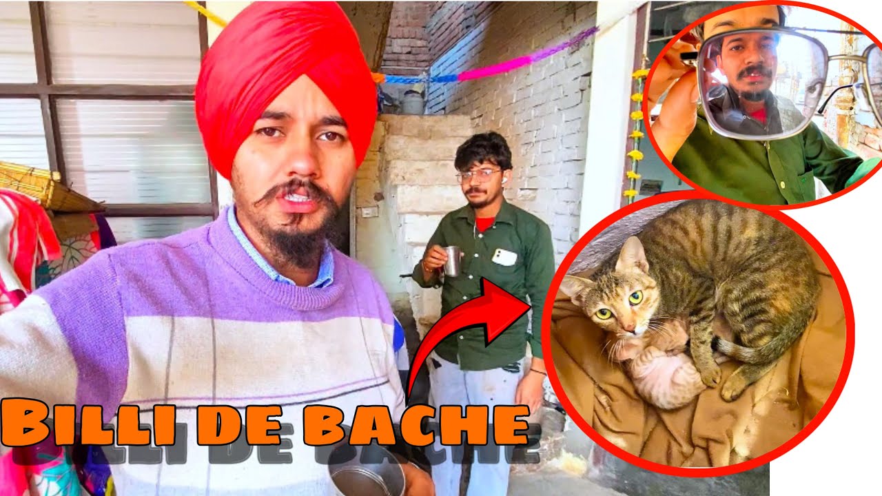 Billi de bache !! #viralvideo #vlog #motivation 