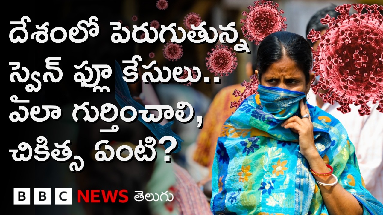H1N1 వైరస్ సోకితే ఏమవుతుంది? Swine flu symptoms ఏంటి, చికిత్సపై Doctors ఏమంటున్నారు?|BBC Telugu