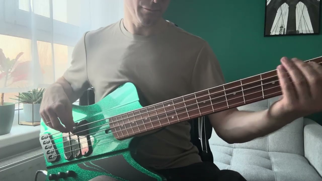Dingwall D-roc Standard 5 - no talking