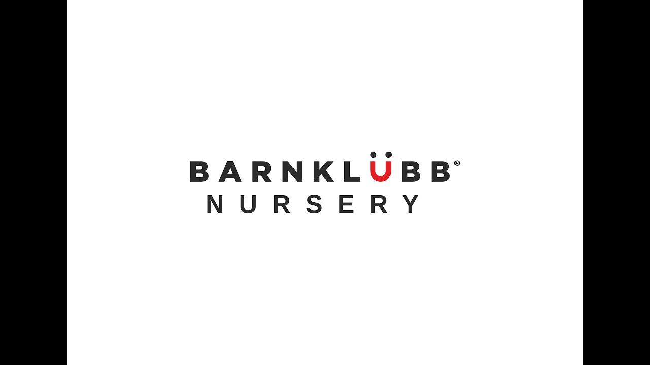 ESR Barnklubb feature TV News Japan