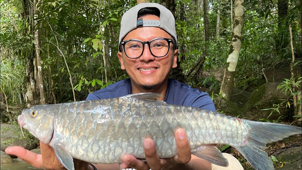 Memburu ikan Tengas Malaysia Di kawasan air jeram yang sangat mencabar..!!!