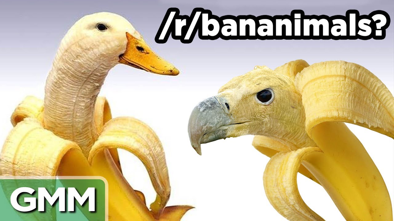 Real or Fake Subreddit Challenge ft. Hank & John Green
