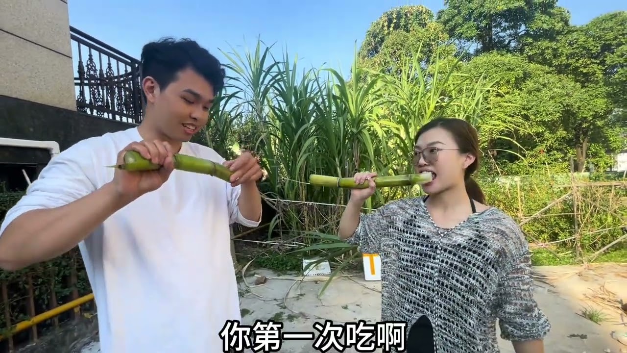 儿子小杰想吃妈妈种的甘蔗，视频再长也不够看，看到最后更好笑