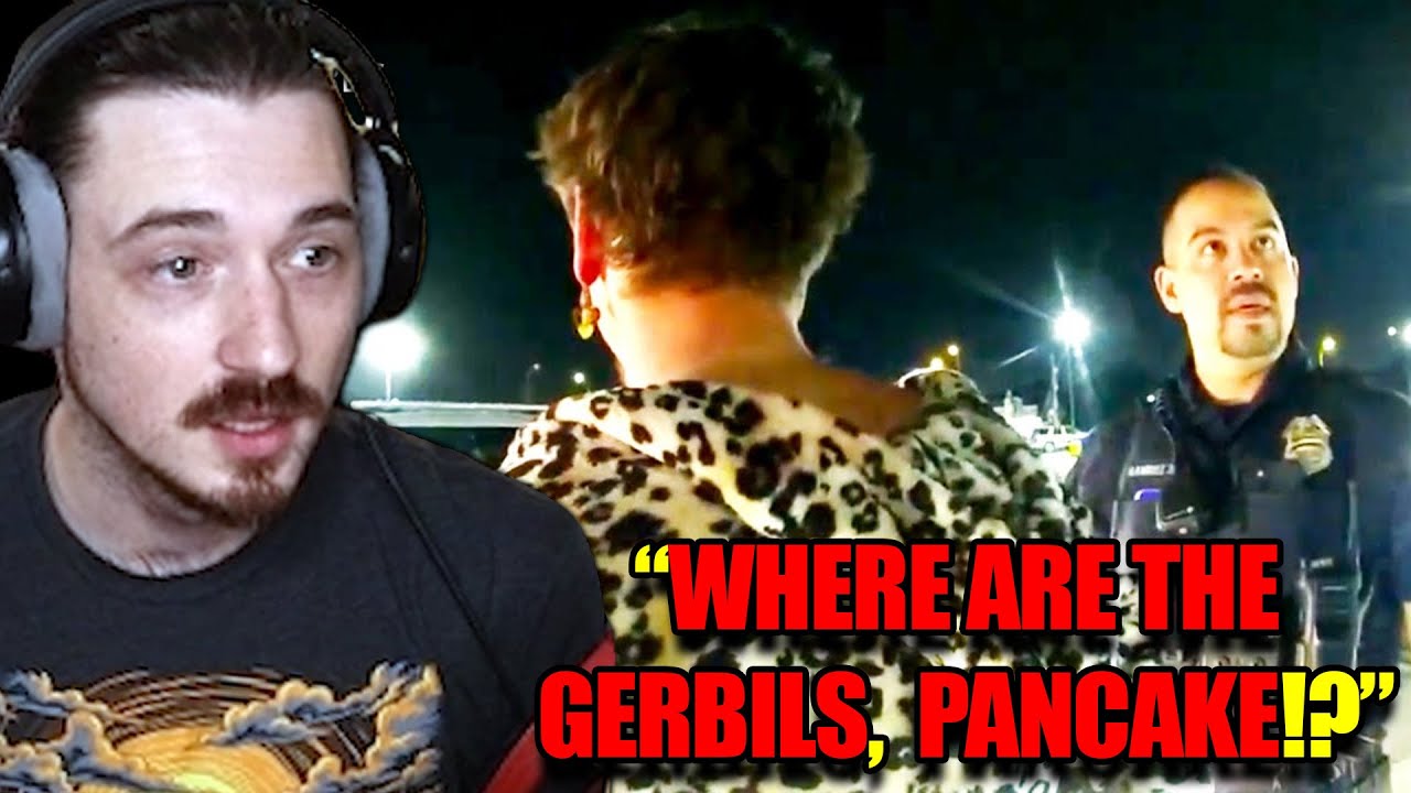 A Man In A Cheetah Costume Put Gerbils In His Pants.... seirously