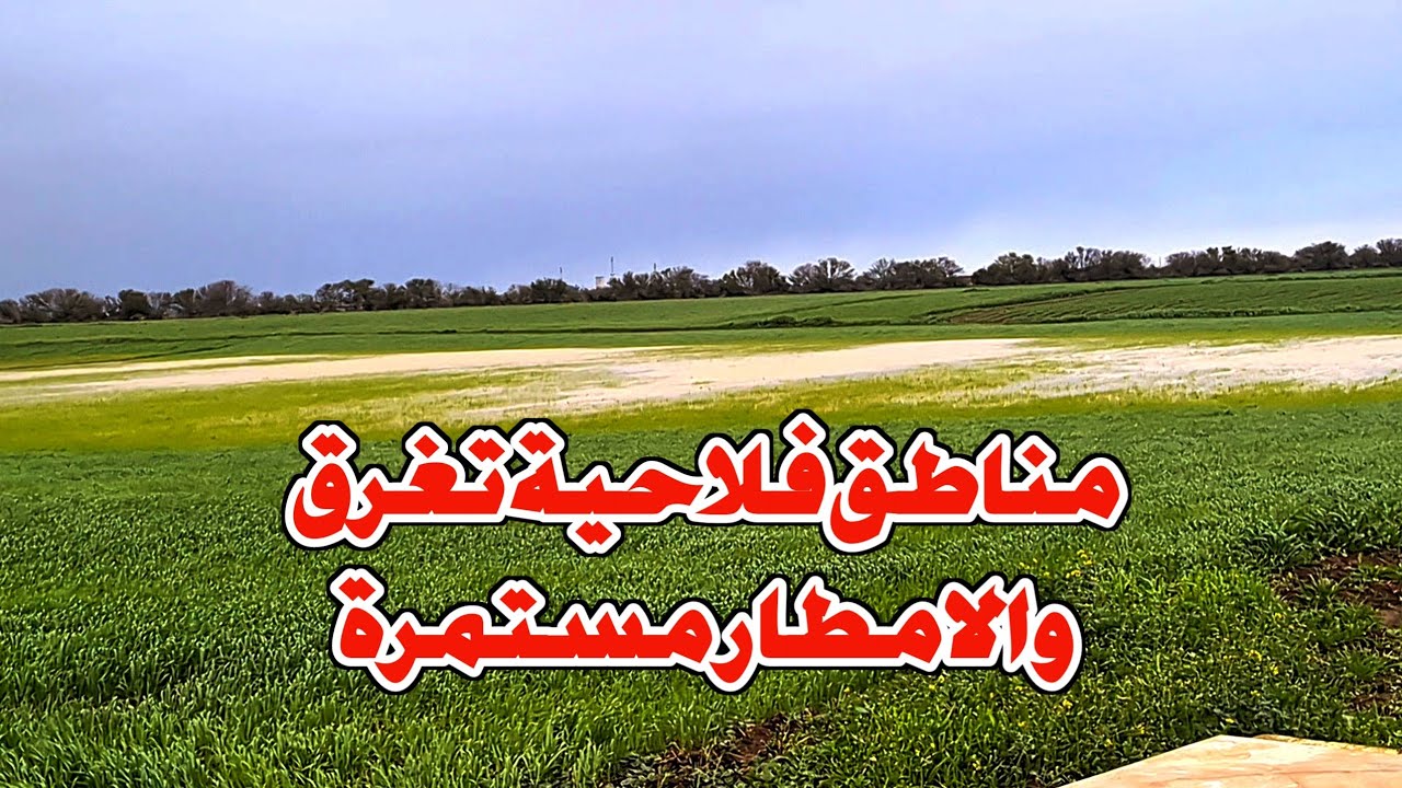✅ شنو دارت الأمطار فالحقول✅