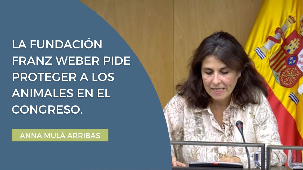 LA FFW PIDE UNA LEY DE PROTECCIÓN ANIMAL COHERENTE: ANNA MULÀ