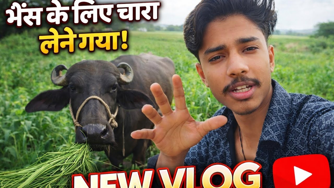 Aaj भैंस ke liye chara lene gye new vlog 