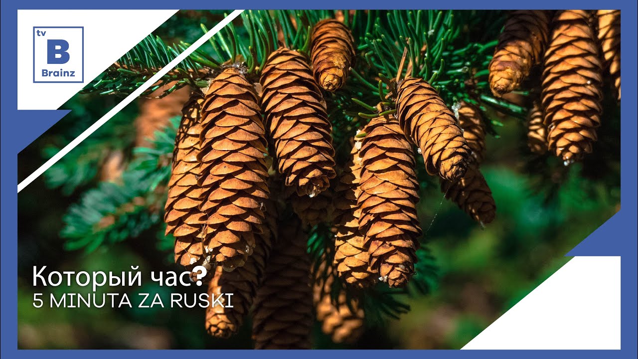 5 minuta za ruski - Который час?