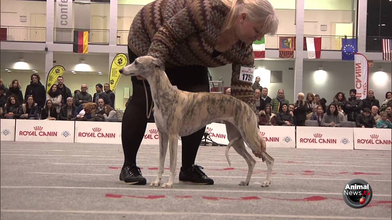Expo Padova 2016 - Gruppo 10