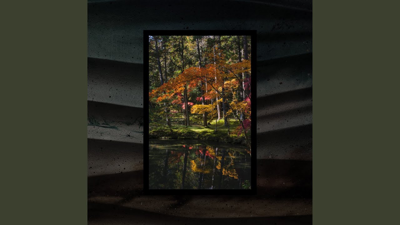 Lakeside Reflections
