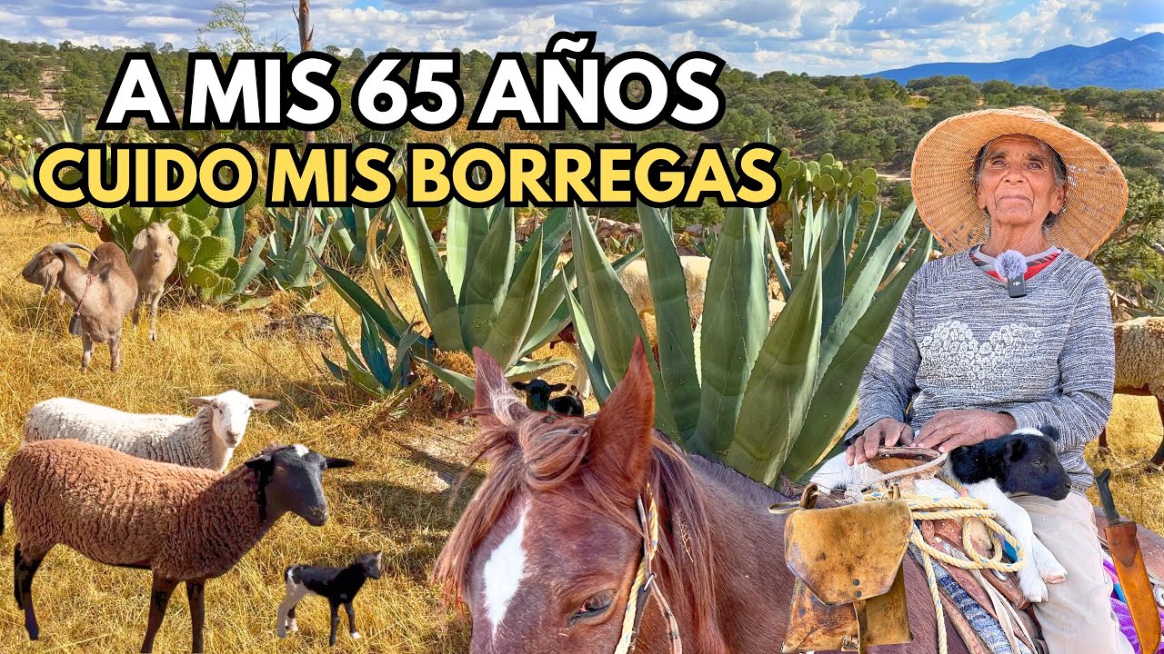 MIS HIJOS CRECIERON SE FUERON Y YO AQUÍ ESTOY TODAVÍA