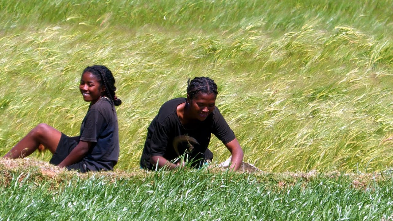 007 Madagascar, Antsirabe, Betafo randonn&eacute;e dans les hautes terres