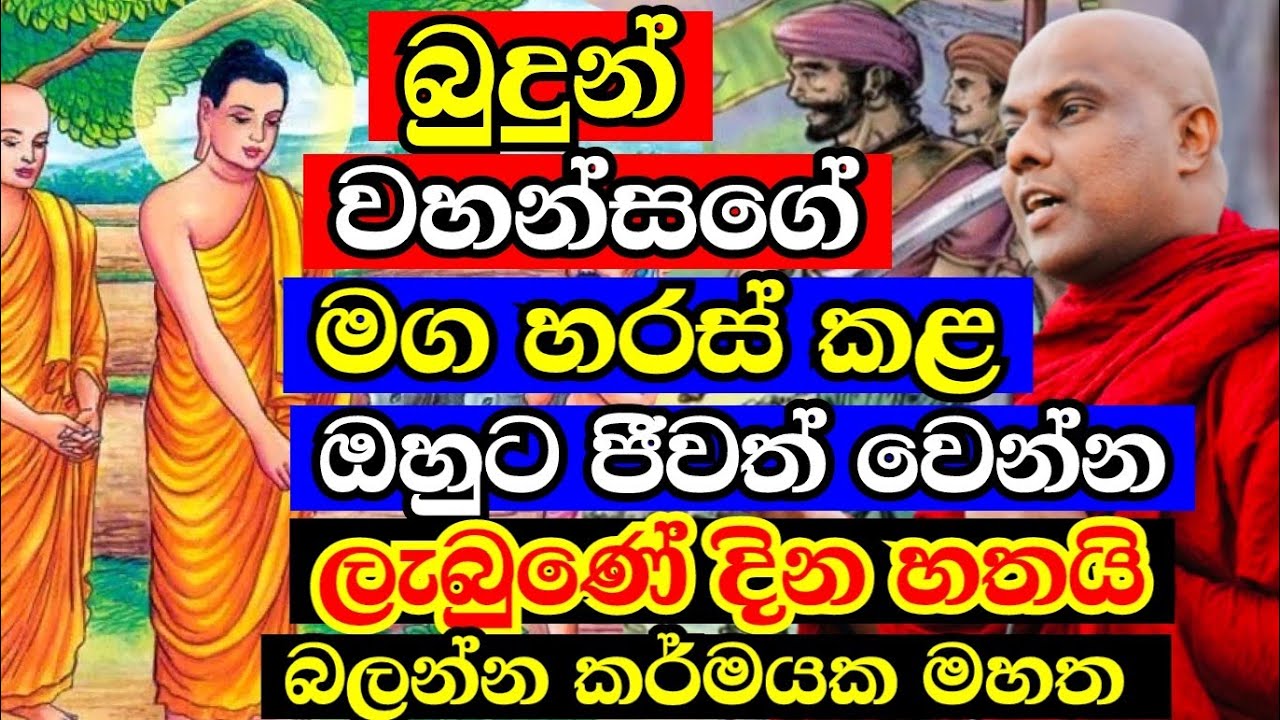බුදුන් වහන්සේගේ මග අවහිර කරොත් දවස් හතක් ඇතුළත විපාක දෙනවා | galigamuwe gnanadeepa thero bana 2025