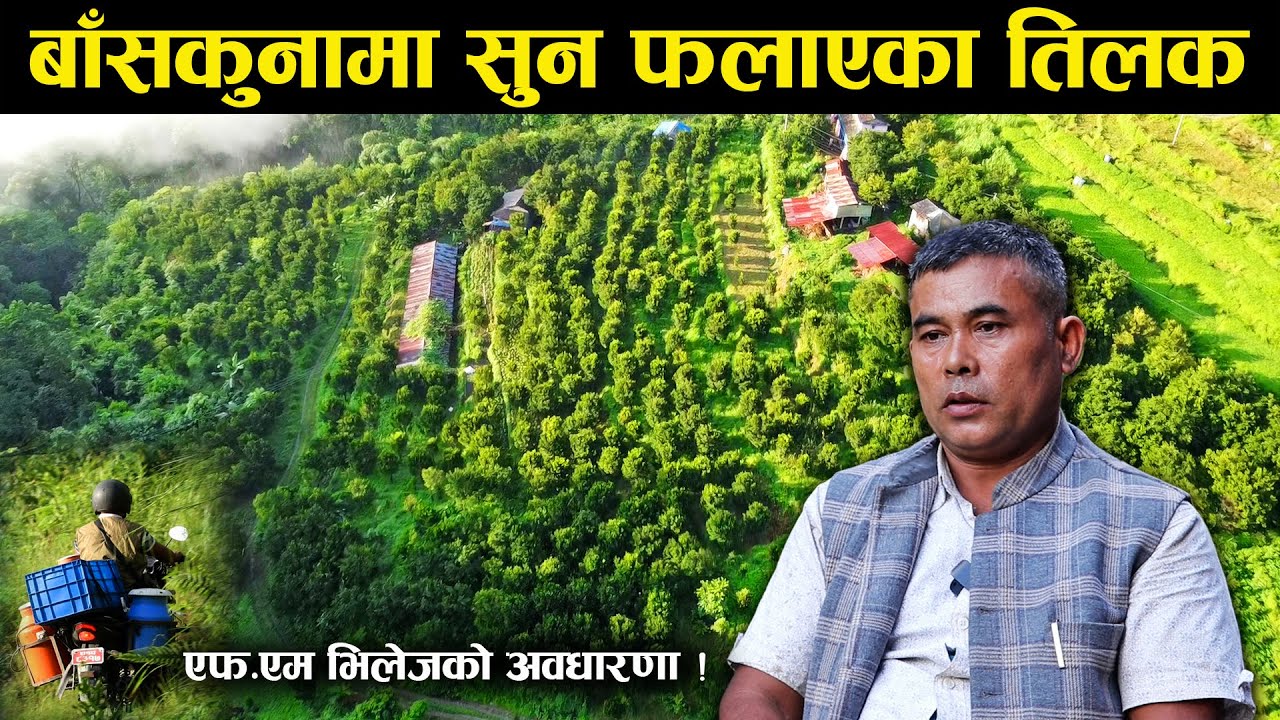तिलक गुरुङ : जसले आफूसहित सिङ्गो गाउँलाई आत्मनिर्भर बनाए 